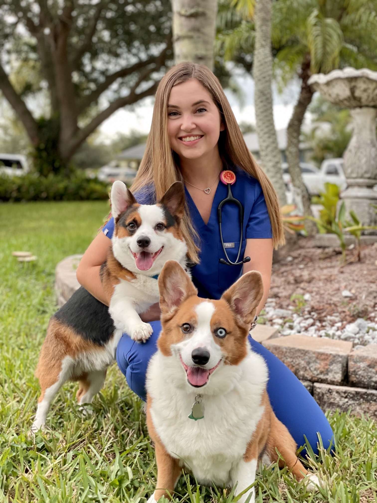 Boulevard Animal Hospital - Florida - West Palm Beach ID1600056 2