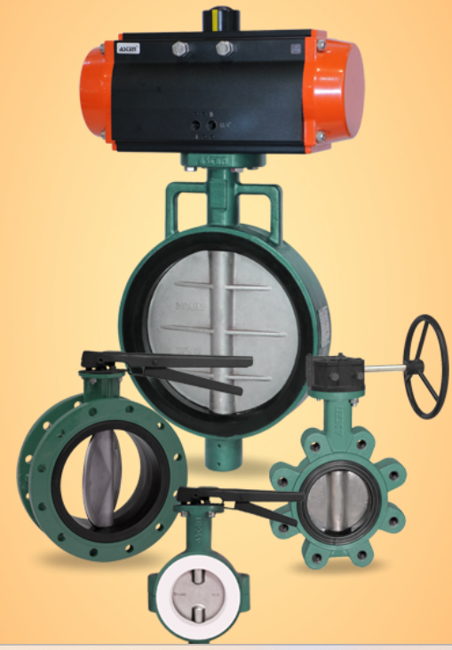 Resilient Seated Butterfly Valve manufacturer - Gujarat - Ahmedabad ID1602179