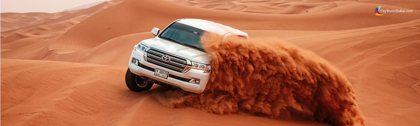 Easy Booking  Convenience on Safari - Texas - Dallas ID1620113