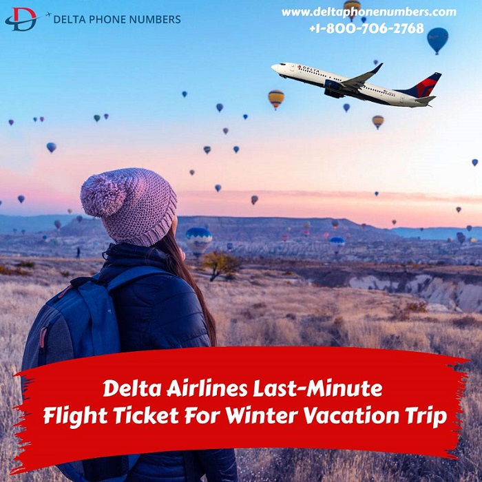 Delta airlines last minute flight ticket  - Alaska - Anchorage ID1522919