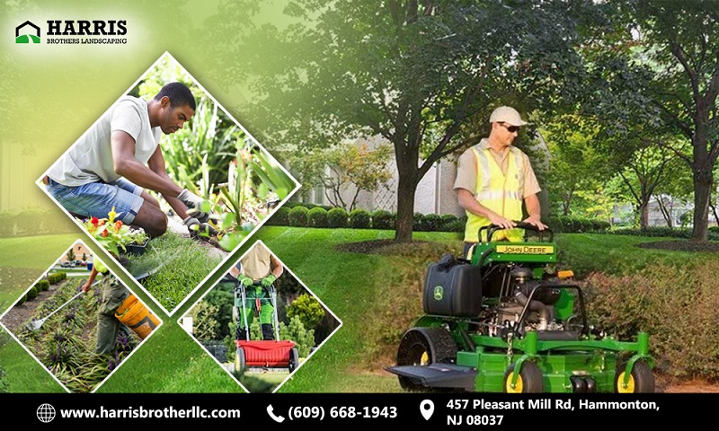Professional Commercial Landscaping Services in Medford  Ha - New York - New York ID1611339