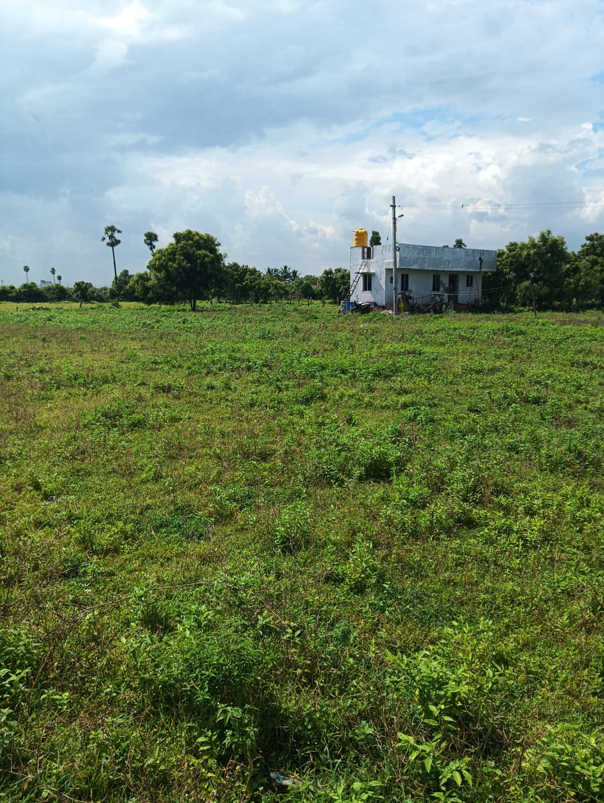 DTCP APPROVED PLOTS FOR SALE AT VEPPAMBATTU - Tamil Nadu - Chennai ID1593822 3