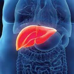 Expert Liver Disease Treatment in Gujarat - Gujarat - Ahmedabad ID1596339