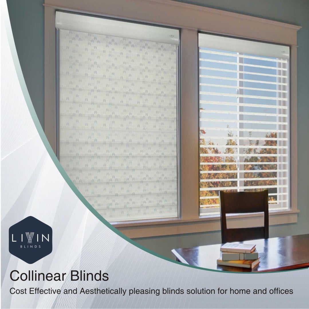 Window Blinds by Top Blind Manufacturer - Delhi - Delhi ID1604623