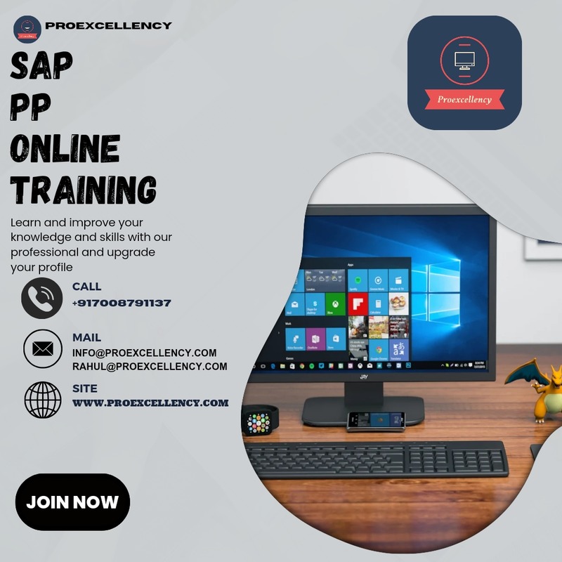 SAP PP Online Training with real time trainer  - Karnataka - Bangalore ID1548513