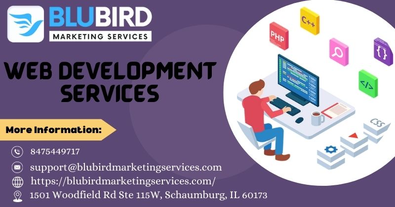 Website Design And Marketing Services in Hoffman Estates Il - Illinois - Chicago ID1547706