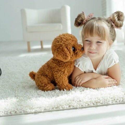 Wuffy Robot Dog - California - Bakersfield ID1621440