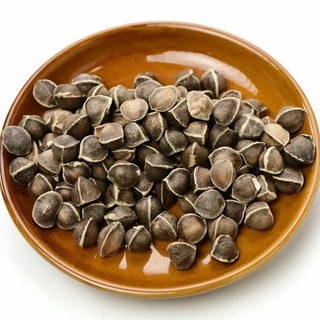 Premium Moringa Oleifera Seeds for Planting and Cooking - California - Chula Vista ID1591187