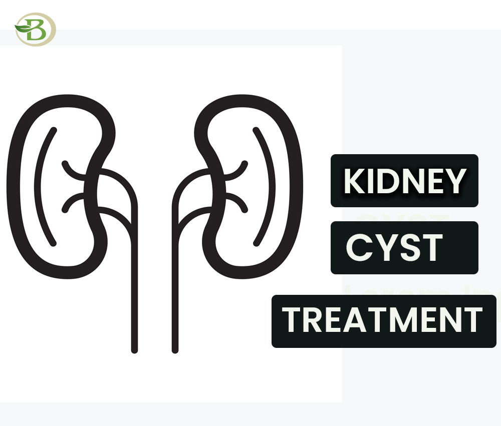 Holistic Approaches to Kidney Health Renewal with Homeopath - Haryana - Gurgaon ID1546234