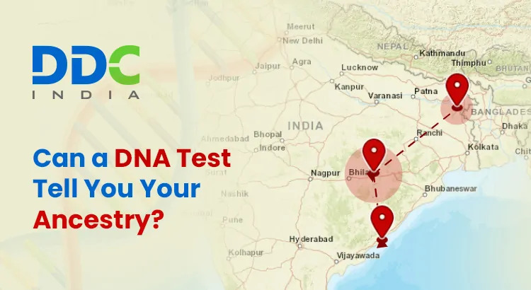 Discover Your Roots with Ancestry DNA Testing in India - Delhi - Delhi ID1610949