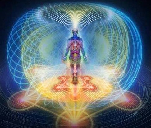 Mantra Bars  Euphoria  mushroom bars - California - Costa Mesa ID1595599