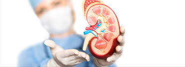 Expert Nephrologist Near Me  Comprehensive Kidney Care - Karnataka - Bangalore ID1610044