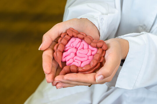Consult Best Gastroenterologist in Ahmedabad for GI Health - Gujarat - Ahmedabad ID1611234