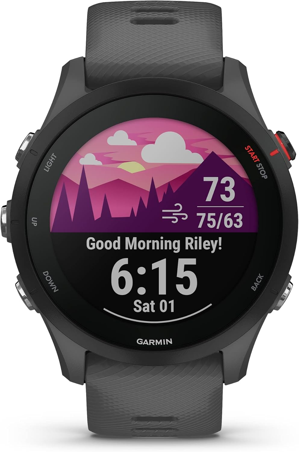 Garmin Forerunner 255 GPS Running Smartwatch - New York - Albany ID1591732 2
