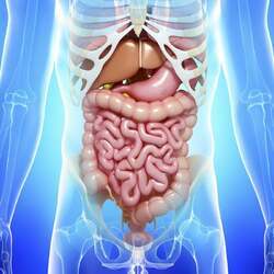 Best Endoscopist in Ahmedabad for Advanced Diagnosis - Gujarat - Ahmedabad ID1595439