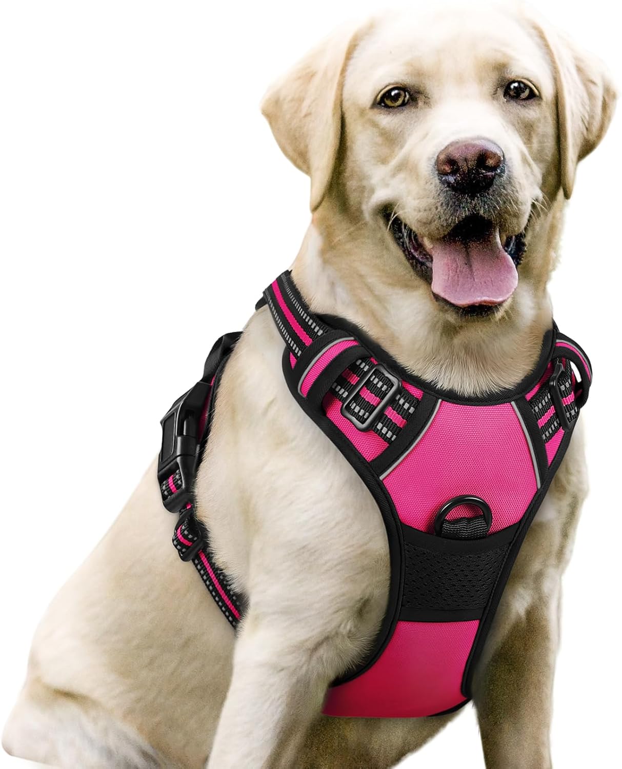 Rabbitgoo Dog Harness No Pull with 2 Leash Clips Review - New York - New York ID1597476