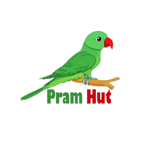 Pramhut  Best Lightweight Stroller online - Delhi - Delhi ID1546792