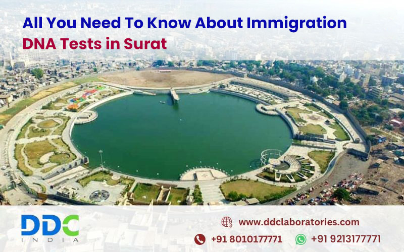 All You Need to Know About Immigration DNA Tests in Surat - Delhi - Delhi ID1612805