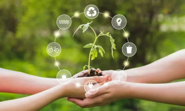 BSc in Environmental Science  Study Climate Ecology  S - Haryana - Sonipat ID1605550