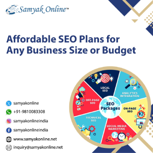 Affordable SEO Plans for Any Business Size or Budget - Delhi - Delhi ID1591563