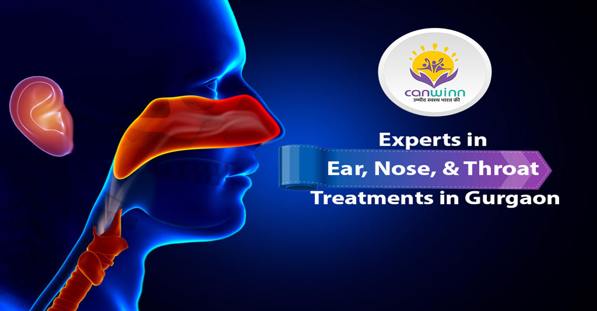 Experts in Ear Nose and Throat Treatment Doctor in Gurgaon - Delhi - Delhi ID1519015