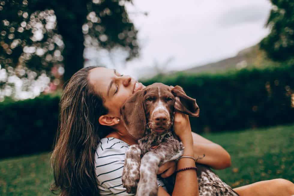 Charlotte Dog Training - North Carolina - Charlotte ID1594727
