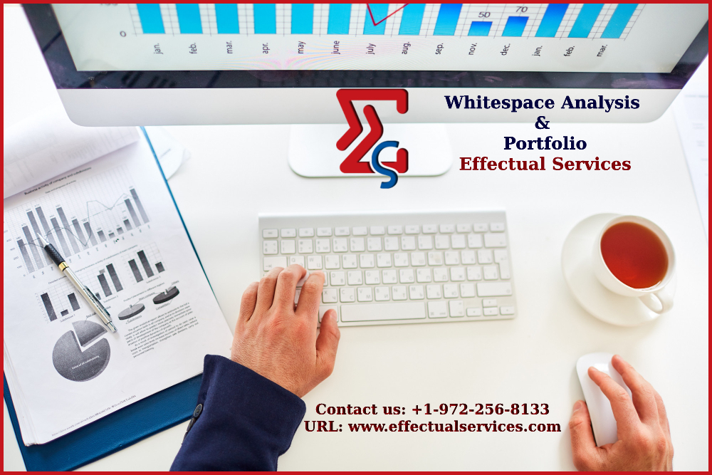Whitespace Analysis and Portfolio Effectual Services - New York - Albany ID1586350