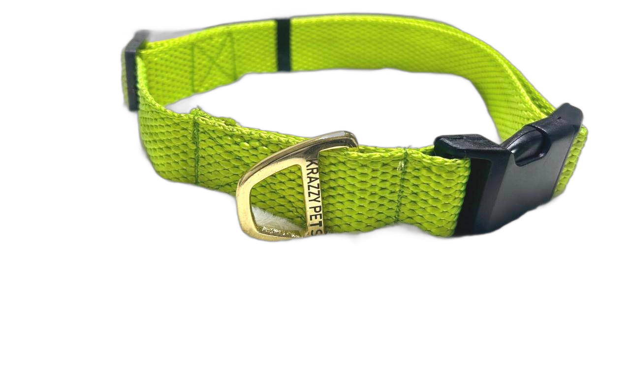 Buy Pet Accessories Online in India  Krazzy Pets Official - Uttaranchal - Dehra Dun ID1610423 1