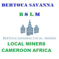 Cemac license for Gold in Cameroon - Delaware - Wilmington ID1597743
