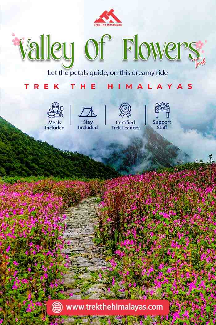 Let the Petals Guide You  Valley of FlowersTrek - Uttaranchal - Dehra Dun ID1601313