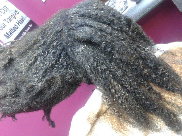 Become a Skilled Matted Hair DetanglerStart Your Career in  - New York - New York ID1591184 4