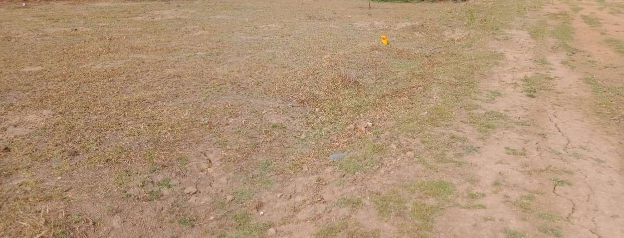 DTCP APPROVED PLOTS FOR SALE AT SEVAPPET IN EMI SCHEME - Tamil Nadu - Chennai ID1544613