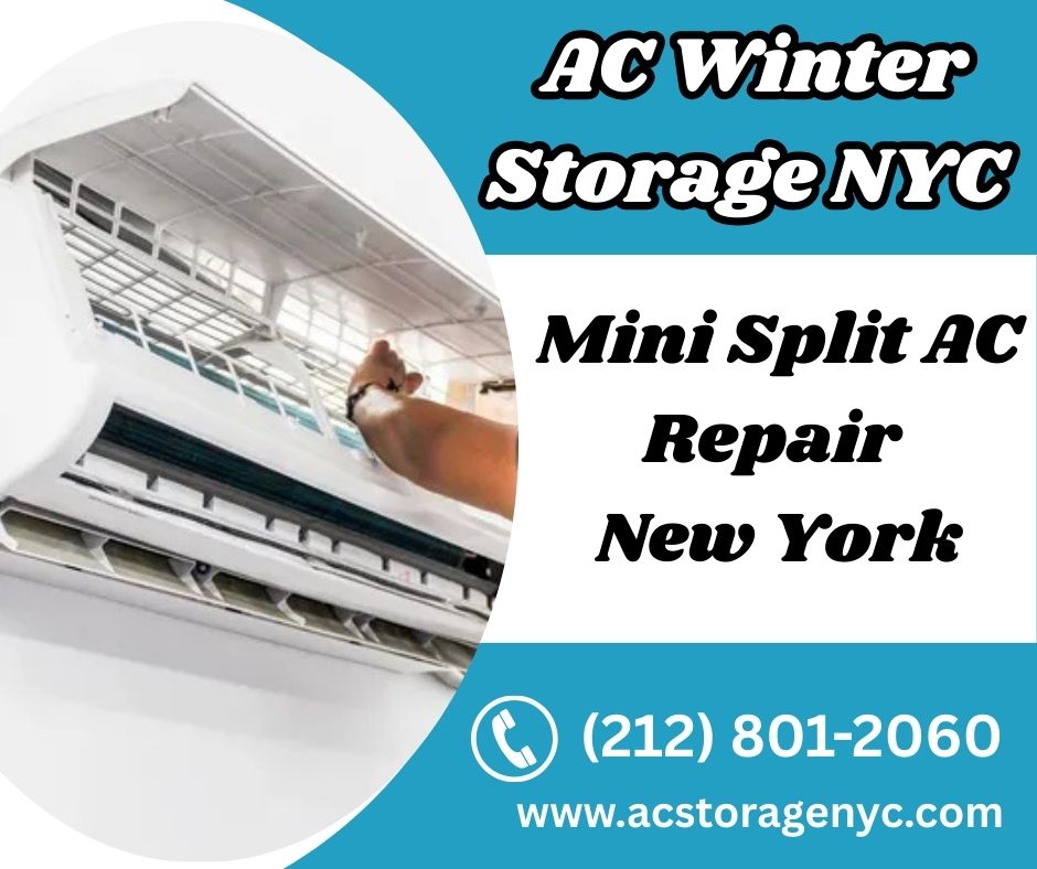 AC Winter Storage NYC - New York - New York ID1605346