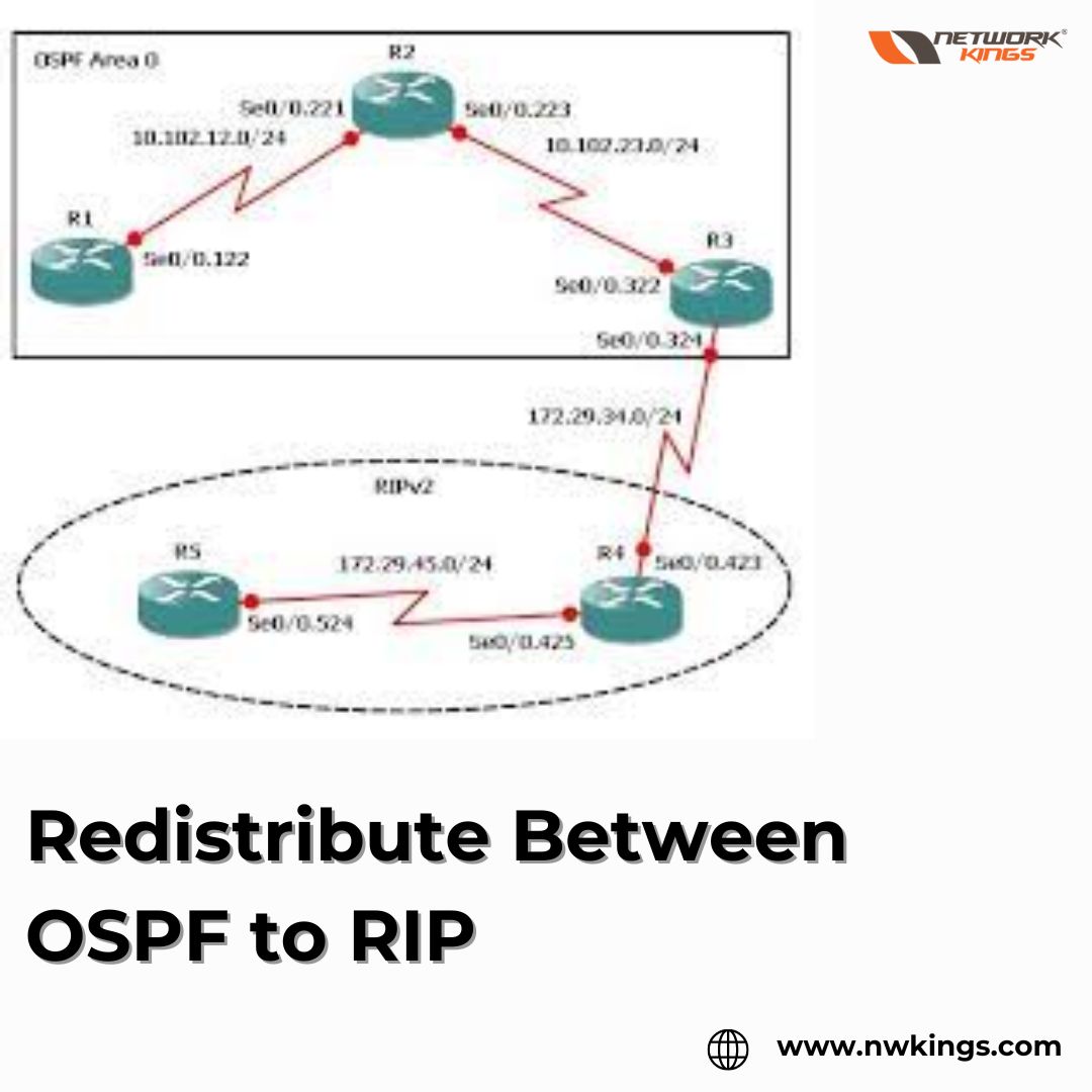 Redistribute Between OSPF to RIP - Chandigarh - Chandigarh ID1532414