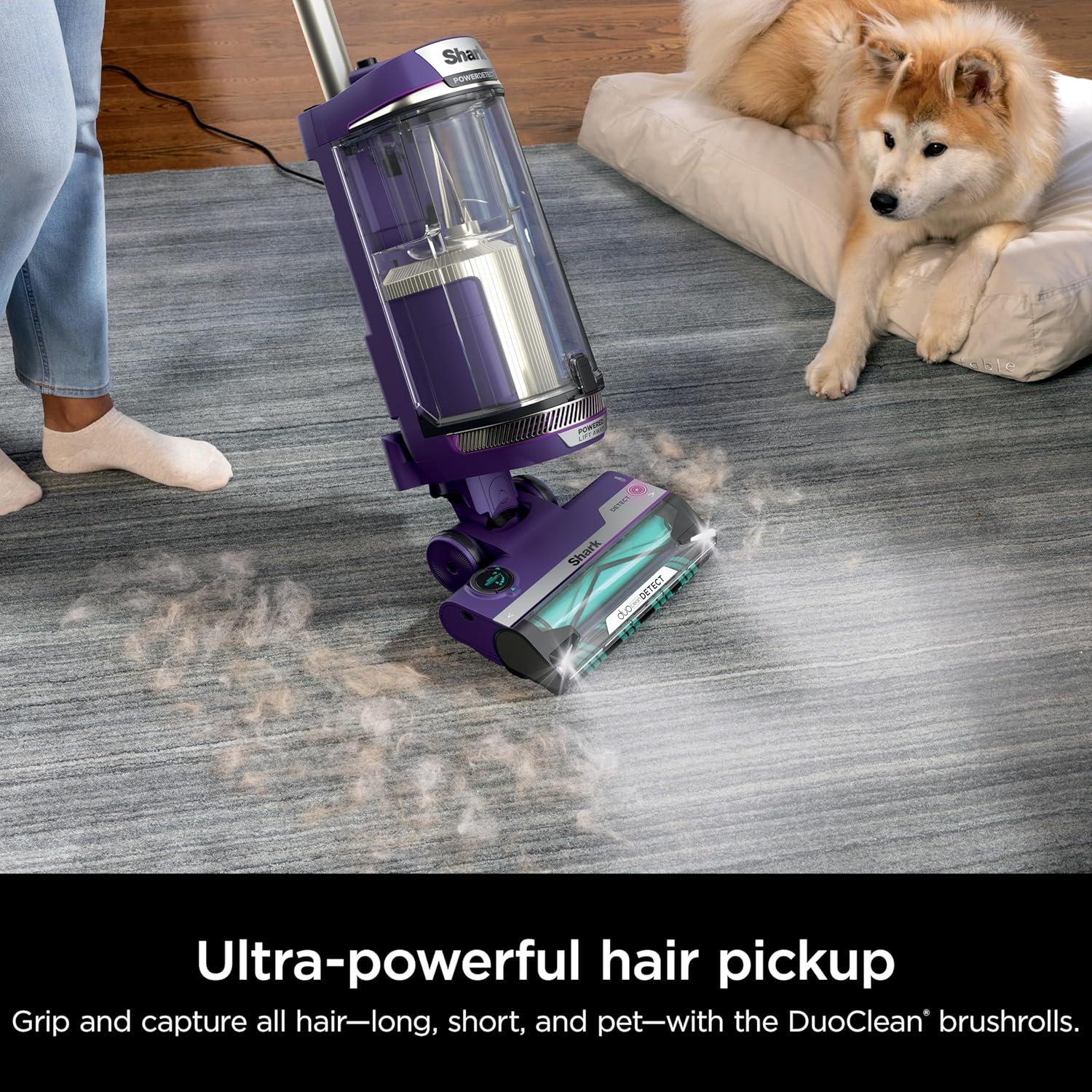 Shark POWERDETECT Upright Vacuum Cleaner with HEPA Filter - New York - Albany ID1595860 2