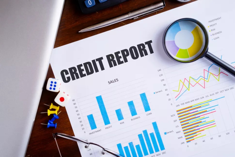 Business Credit Check Services - Delhi - Delhi ID1596569