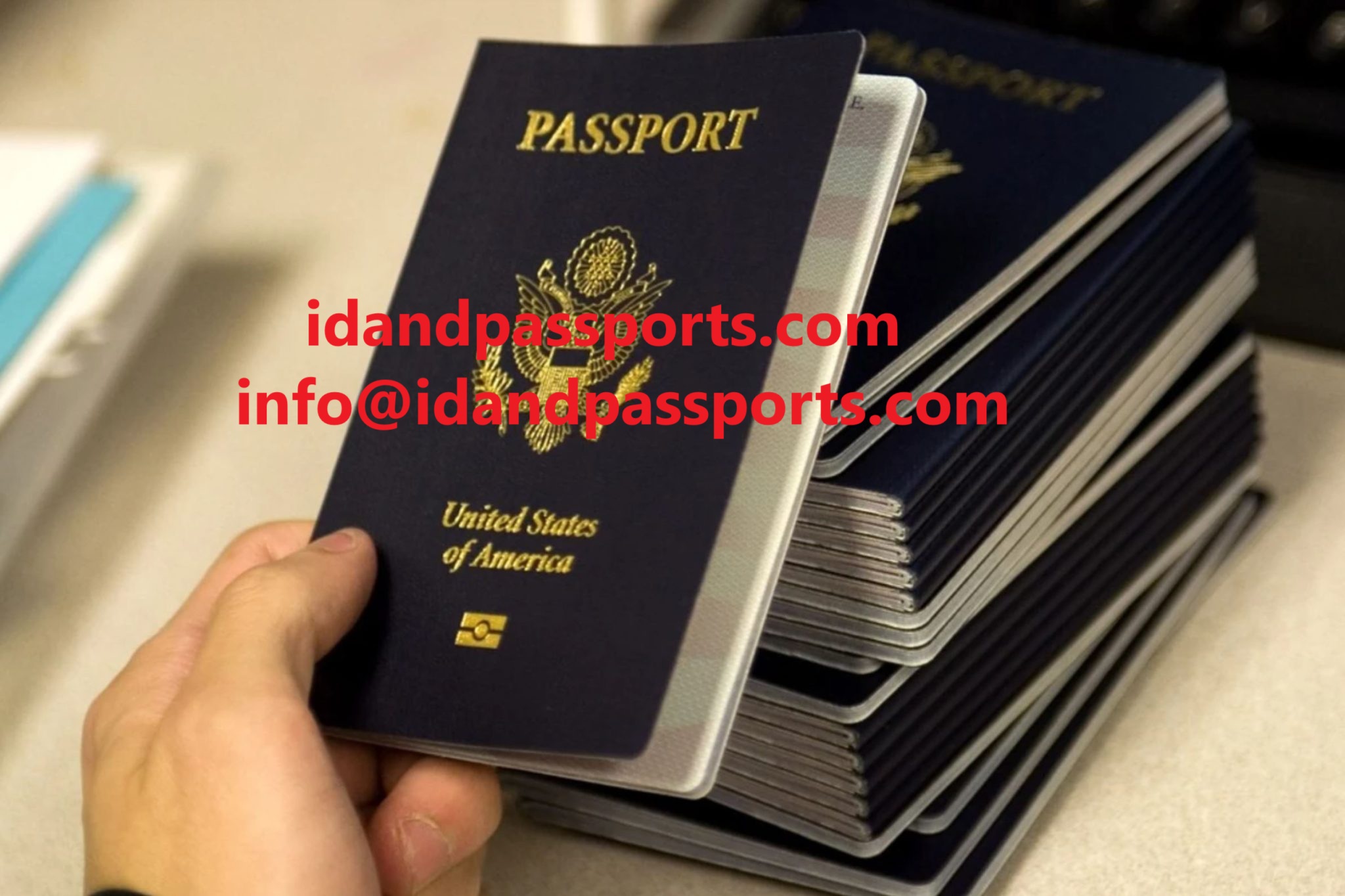 Buy Passports  Order Passports  IDandPassportscom - California - Palm Desert ID1613655 1