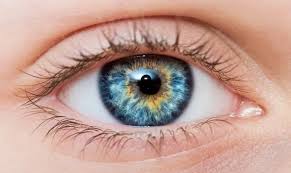 The Most Harmful Toxin For Your Eyes Hint It Causes Blindn - District of Columbia - Washington DC ID1557644