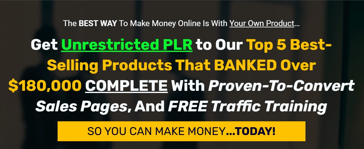 PLR Goldmine Bundle Review - New York - Albany ID1593983