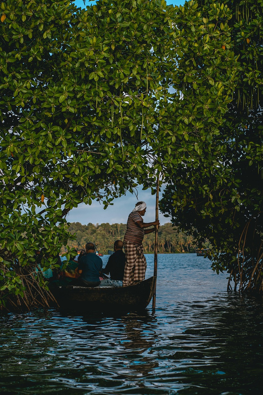 Discover the Magic of Kerala  Book Affordable  Customize - Kerala - Kochi ID1609921