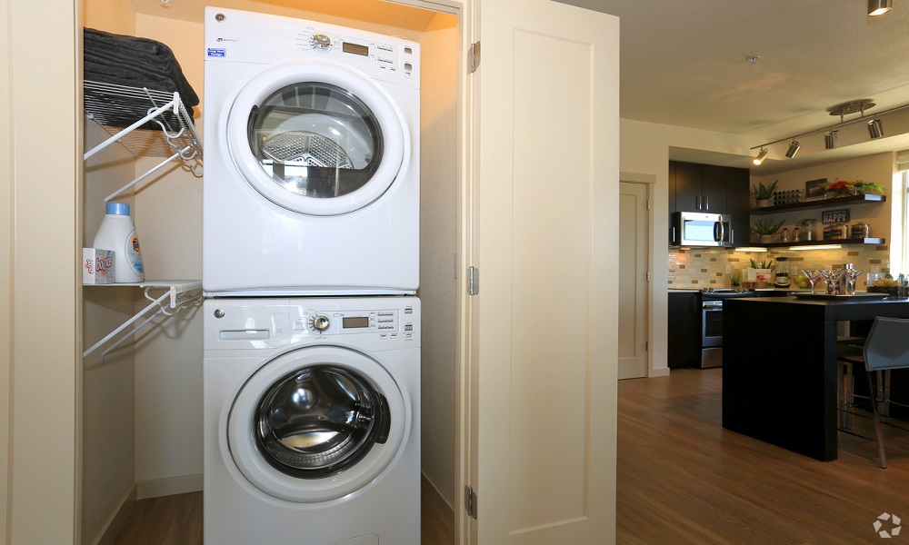 SPACIOUS 1 BED 1 BATH APARTMENT FOR RENT IN MANHATTAN NY - New York - New York ID1599881 4