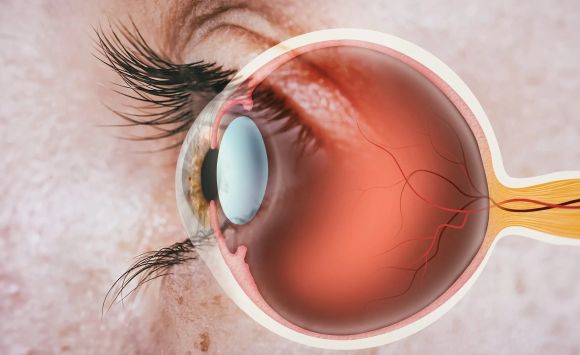 Best Retina Treatment in Andul Howrah - West Bengal - Howrah ID1611277