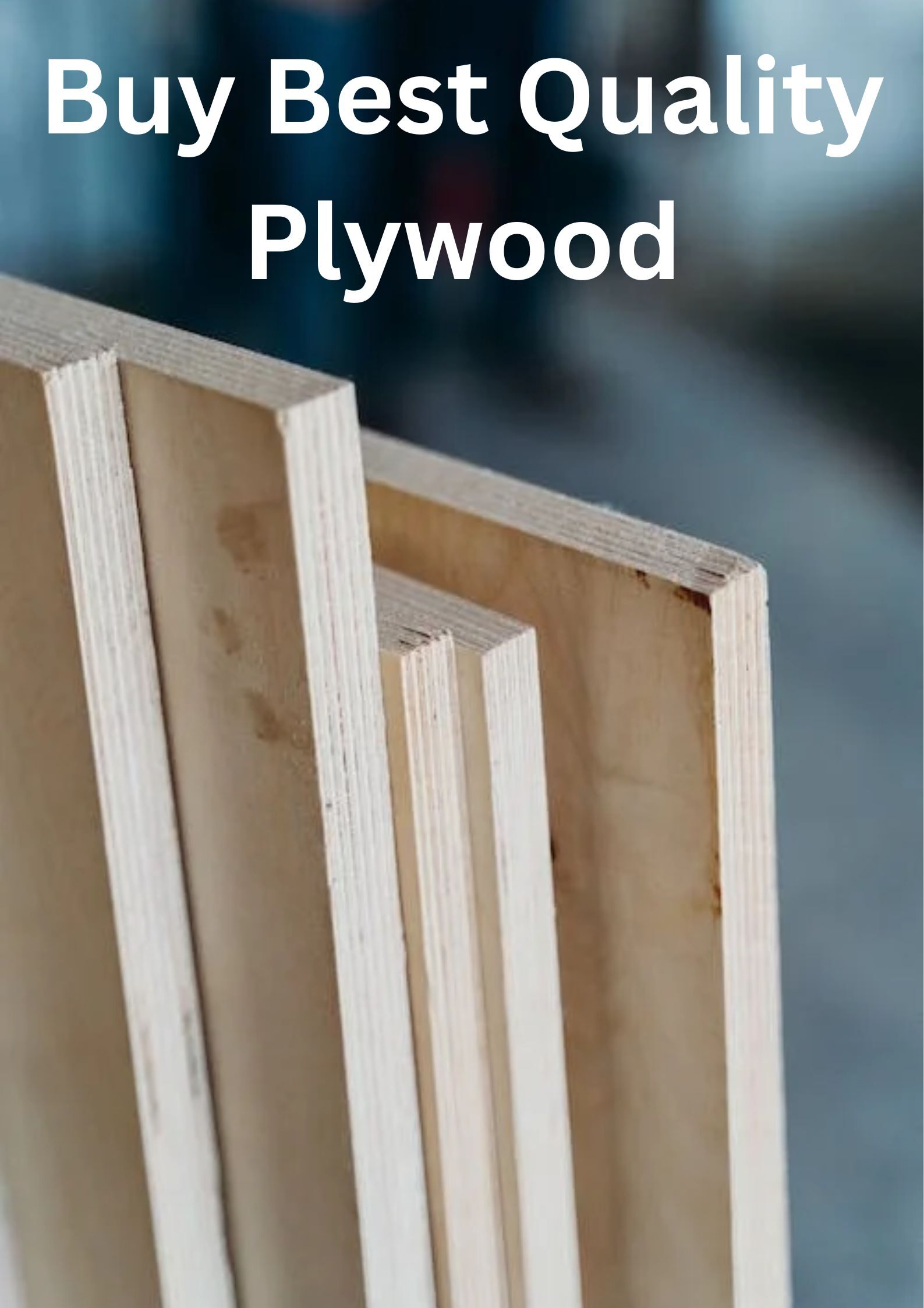Plywood Manufacturers In Yamunanagar - Haryana - Yamunanagar ID1547374