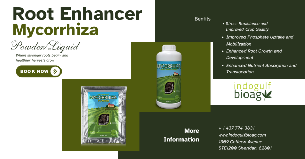 Buy Root Enhancer  Premium Mycorrhiza Powder  Liquid Myc - Arkansas - Little Rock  ID1611071