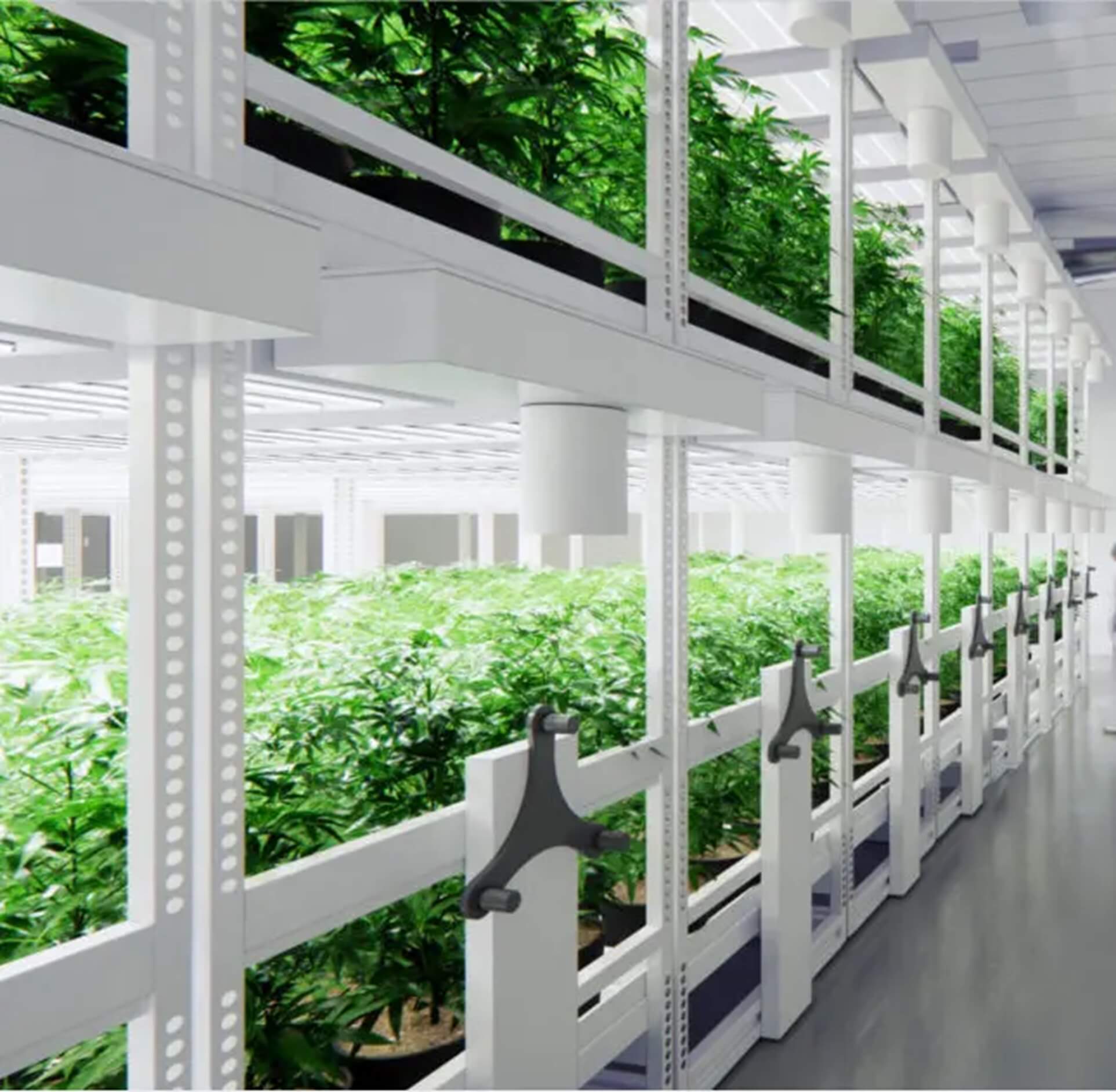 Mobile Vertical Grow Rack System - California - Cupertino ID1598463 2