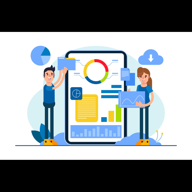 Efficient Data Processing Services  Stellanova Globaltech P - Rajasthan - Udaipur ID1595728