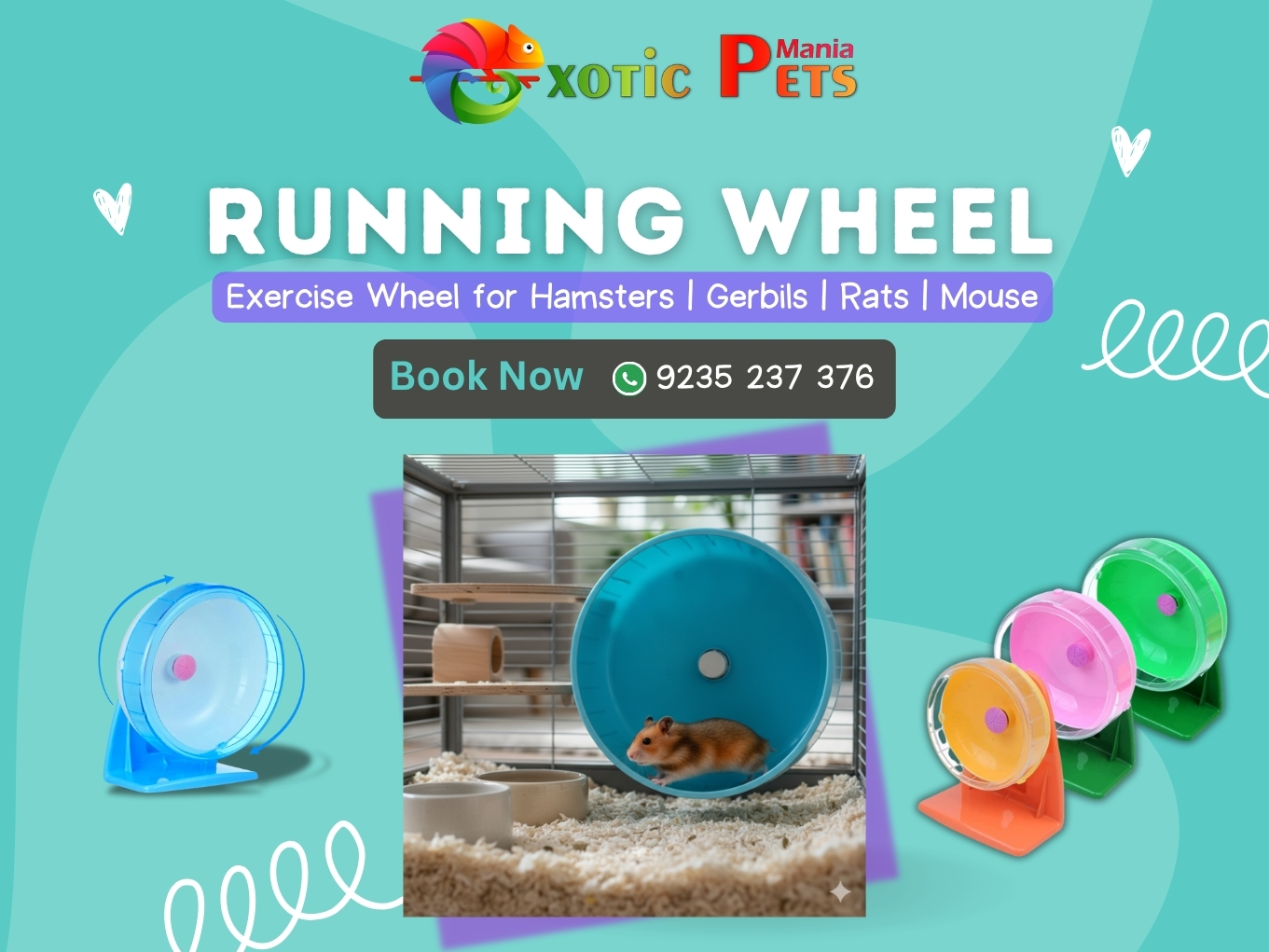 Qpets Hamster Wheel  Rabbit  Small Pet Running Wheel - Uttar Pradesh - Kanpur ID1620866