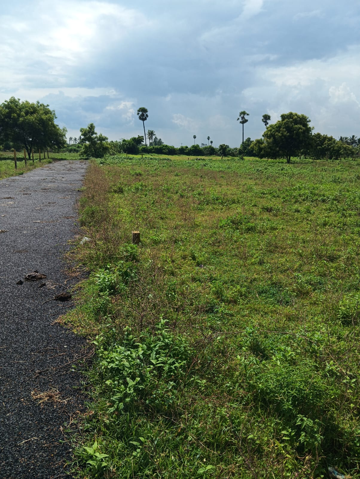 DTCP APPROVED PLOTS FOR SALE AT VEPPAMPATTU - Tamil Nadu - Chennai ID1595928 3