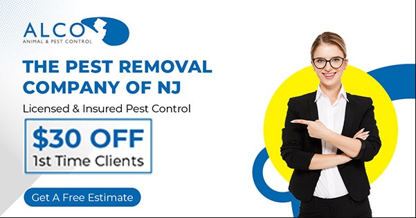Safe  Humane Pest Removal in NJ - New Jersey - Jersey City ID1615063