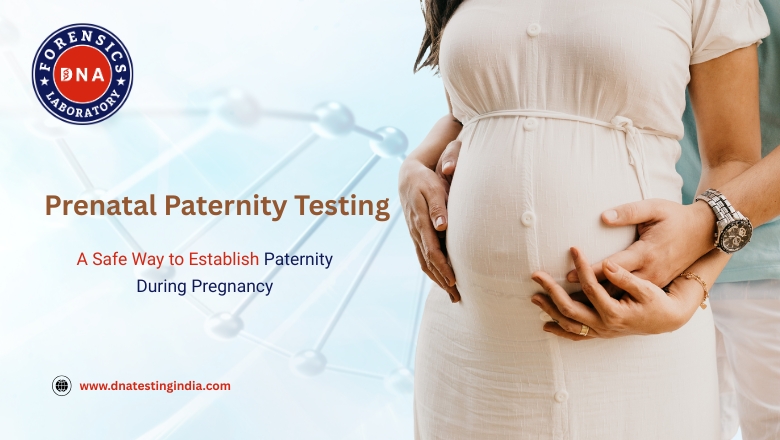 Prenatal Paternity Testing  A Safe  Reliable - Delhi - Delhi ID1599800